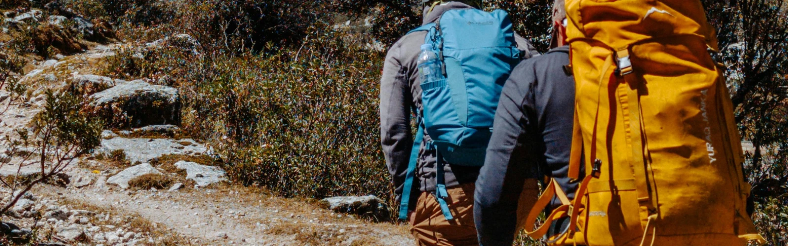Big Sur Outdoor Adventures: Hiking, Kayaking, and Nature Trails