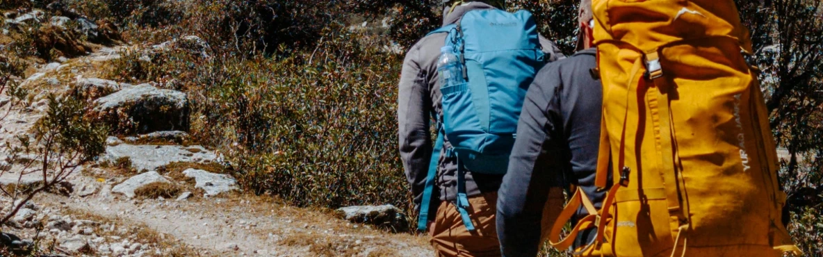 Big Sur Outdoor Adventures: Hiking, Kayaking, and Nature Trails